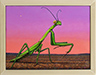 Portrait of a Praying Mantis